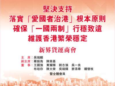 支持落實愛國者治港及確保一國兩制行穩致遠